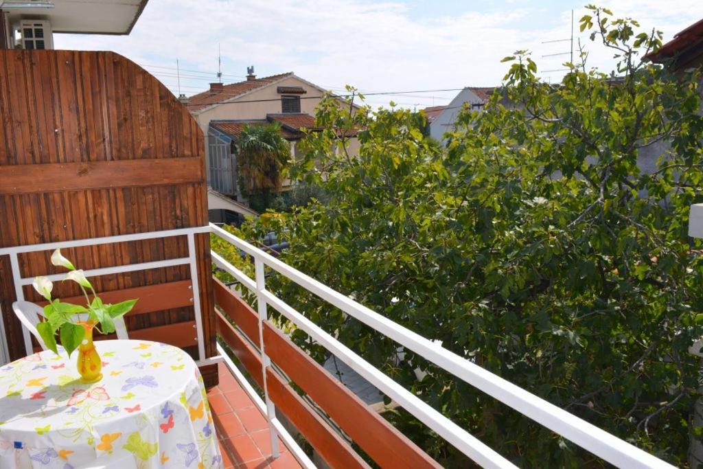 Apartmani Ana Juricev Vodice 沃迪切 外观 照片